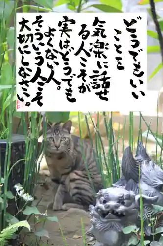 専念寺の動物