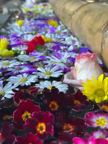 群馬県護国神社(群馬県)