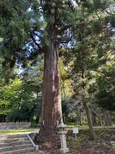 意波閇神社(滋賀県)