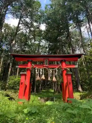 横山神社の鳥居