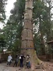 高千穂神社(宮崎県)