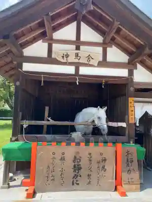 賀茂別雷神社（上賀茂神社）(京都府)
