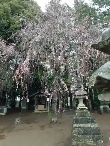 伏木香取神社の自然