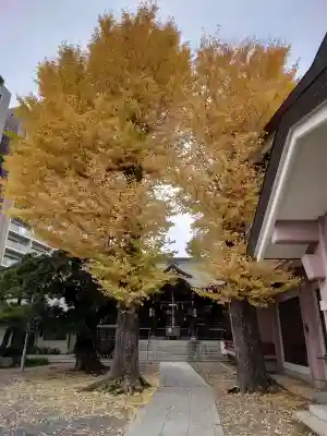 青砥神社の{uncategorized: "未分類", other: "その他", undefined: "問題あり", building: "その他建物", grave: "お墓", sacred_gate: "鳥居", guardian: "狛犬", statue: "像", buddha: "仏像", history: "歴史", nature: "自然", garden: "庭園", animal: "動物", pagoda: "塔", temizu: "手水舎", mountain_gate: "山門・神門", sanctuary: "本殿・本堂", subordinate: "末社・摂社", art: "芸術", scenery: "景色", jizo: "地蔵", ema: "絵馬", goshuin: "御朱印", omikuji: "おみくじ", items: "授与品その他", amulet: "お守り", goshuincho: "御朱印帳", eats: "食事", festival: "お祭り", votive_dance: "神楽", shichigosan: "七五三参", wedding: "結婚式", experience: "体験その他", initially: "初詣", around: "周辺", anti_infection: "感染症対策"}