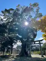 春日神社(福岡県)