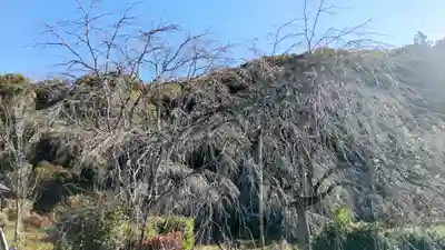 法善寺(埼玉県)