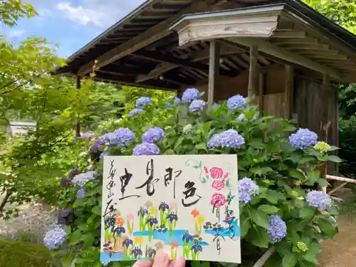 大安禅寺の御朱印