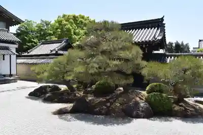 観智院（東寺子院）の庭園