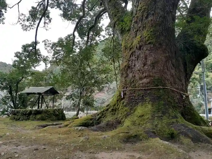 流谷八幡神社の{uncategorized: "未分類", other: "その他", undefined: "問題あり", building: "その他建物", grave: "お墓", sacred_gate: "鳥居", guardian: "狛犬", statue: "像", buddha: "仏像", history: "歴史", nature: "自然", garden: "庭園", animal: "動物", pagoda: "塔", temizu: "手水舎", mountain_gate: "山門・神門", sanctuary: "本殿・本堂", subordinate: "末社・摂社", art: "芸術", scenery: "景色", jizo: "地蔵", ema: "絵馬", goshuin: "御朱印", omikuji: "おみくじ", items: "授与品その他", amulet: "お守り", goshuincho: "御朱印帳", eats: "食事", festival: "お祭り", votive_dance: "神楽", shichigosan: "七五三参", wedding: "結婚式", experience: "体験その他", initially: "初詣", around: "周辺", anti_infection: "感染症対策"}