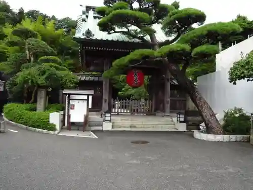 長谷寺の山門