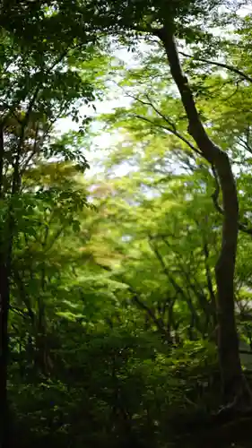 常寂光寺(京都府)
