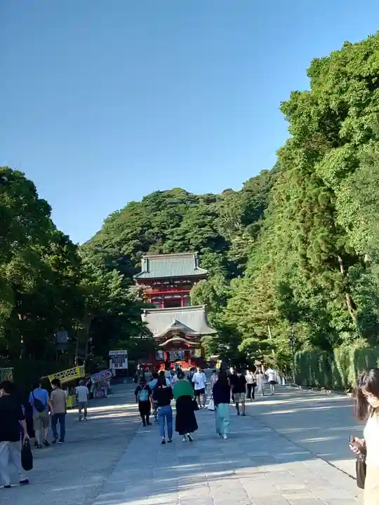 鶴岡八幡宮(神奈川県)