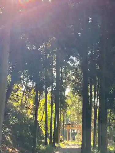 出雲大神宮(京都府)
