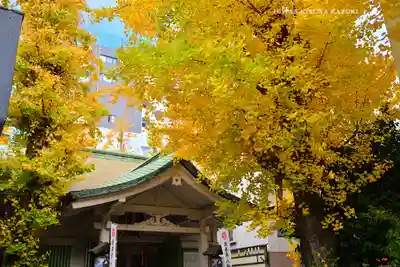銀杏岡八幡神社(東京都)