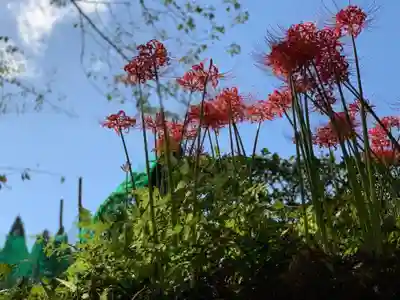 熊野神社の庭園