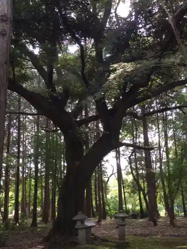 観音寺(三重県)