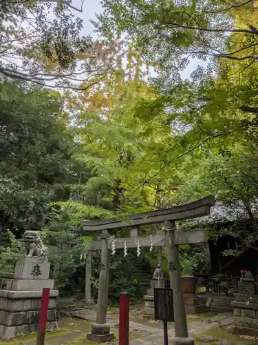 赤坂氷川神社(東京都)
