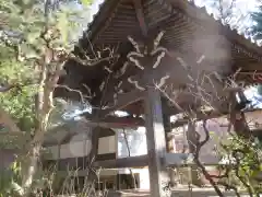 深光寺の建物その他