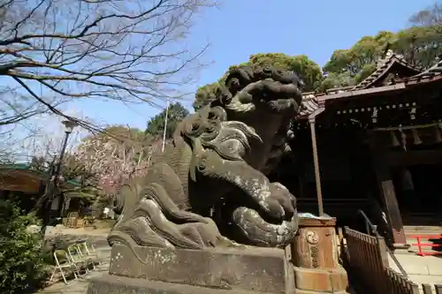 代々木八幡宮の狛犬