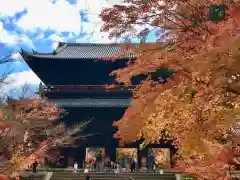 南禅寺の山門