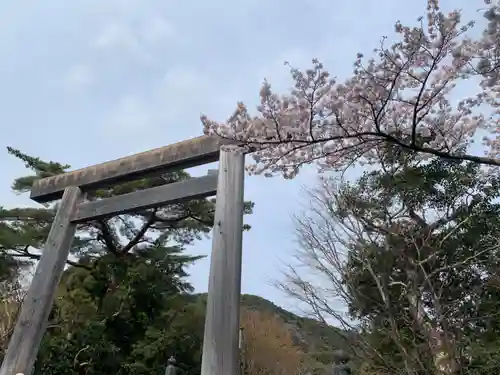 伊勢神宮内宮（皇大神宮）の鳥居