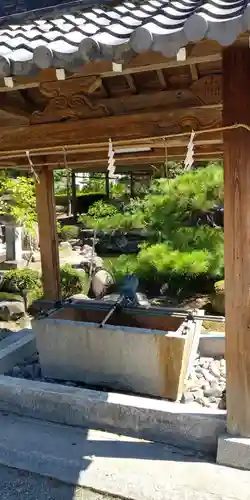 苗村神社の手水舎