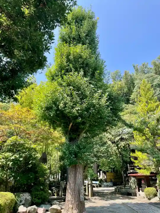 遍照寺(神奈川県)