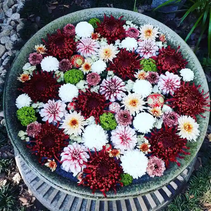 行田八幡神社の手水舎