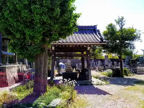 正覚寺の手水舎