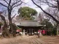 敷島神社の本殿・本堂