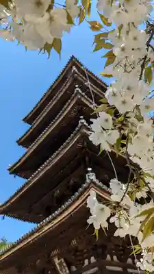 仁和寺(京都府)