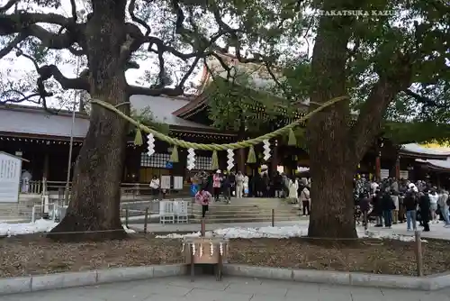 明治神宮(東京都)