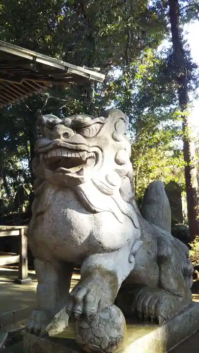 七百餘所神社 の狛犬