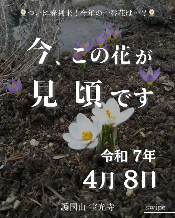 宝光寺(北海道)