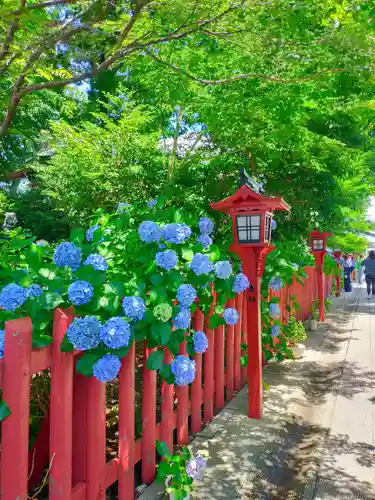川越八幡宮(埼玉県)