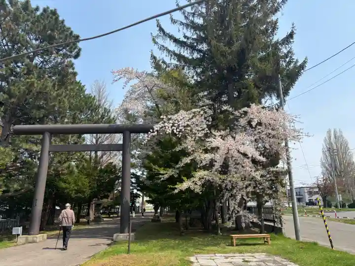 篠路神社の{uncategorized: "未分類", other: "その他", undefined: "問題あり", building: "その他建物", grave: "お墓", sacred_gate: "鳥居", guardian: "狛犬", statue: "像", buddha: "仏像", history: "歴史", nature: "自然", garden: "庭園", animal: "動物", pagoda: "塔", temizu: "手水舎", mountain_gate: "山門・神門", sanctuary: "本殿・本堂", subordinate: "末社・摂社", art: "芸術", scenery: "景色", jizo: "地蔵", ema: "絵馬", goshuin: "御朱印", omikuji: "おみくじ", items: "授与品その他", amulet: "お守り", goshuincho: "御朱印帳", eats: "食事", festival: "お祭り", votive_dance: "神楽", shichigosan: "七五三参", wedding: "結婚式", experience: "体験その他", initially: "初詣", around: "周辺", anti_infection: "感染症対策"}