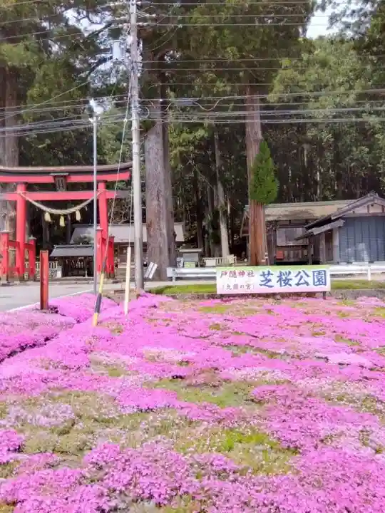 戸隠神社(岐阜県)