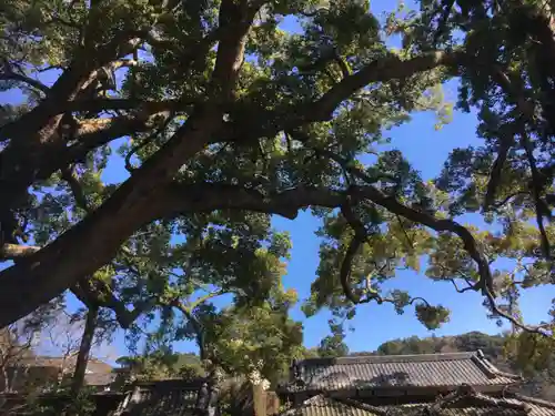 事任八幡宮の自然