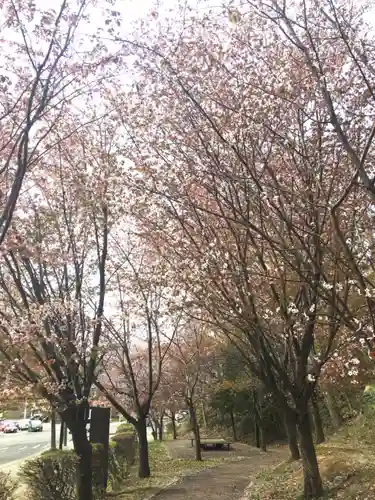 厚別神社の自然