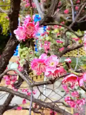 中野沼袋氷川神社(東京都)