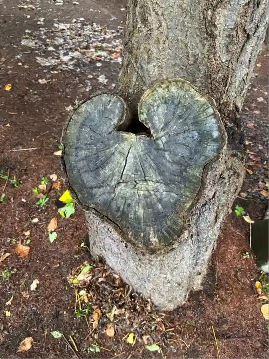 大谷地神社(北海道)