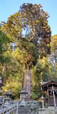 日牟禮八幡宮(滋賀県)