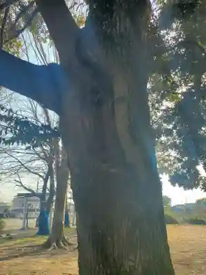 神明宮（県町）(栃木県)