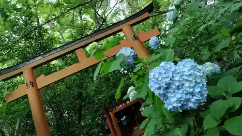 平野神社(京都府)