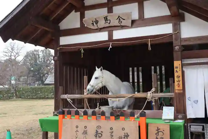 賀茂別雷神社(上賀茂神社)(京都府)