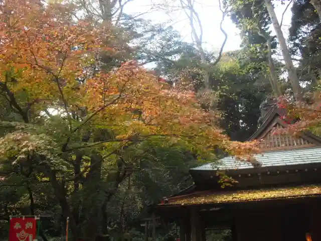 佐助稲荷神社の自然