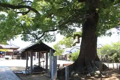 長尾寺(香川県)