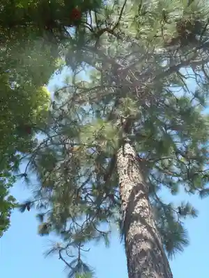陽龍寺(愛知県)