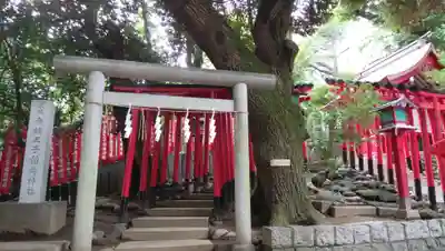 乃木神社の鳥居