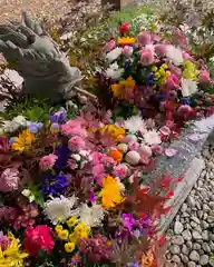 滑川神社 - 仕事と子どもの守り神の手水